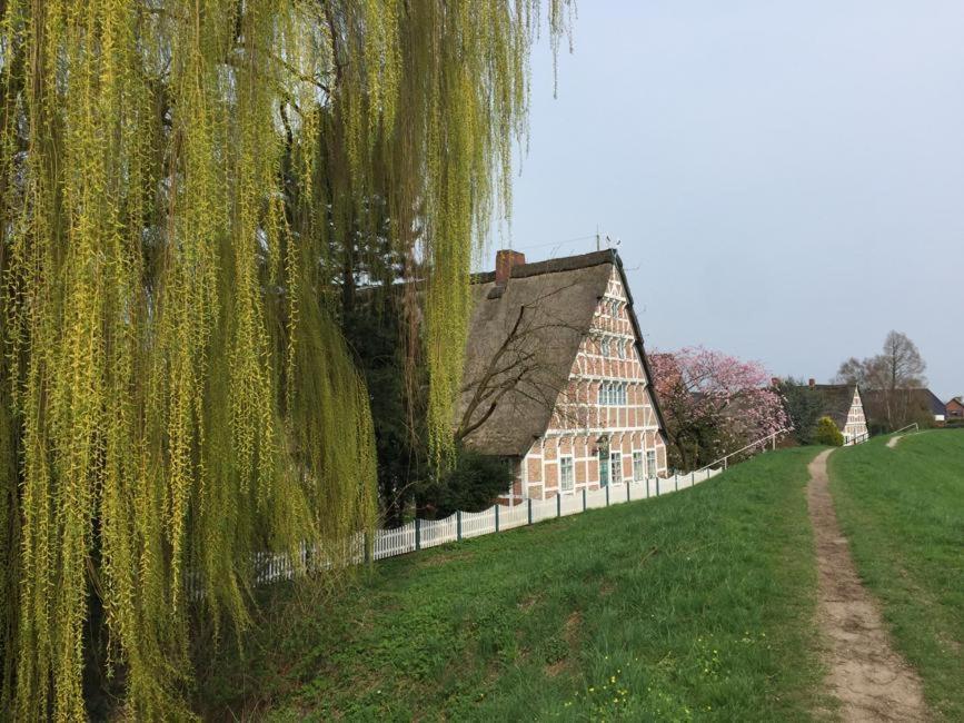 FeWo Blankenese im Haus Lühegarten Grünendeich Exterior foto
